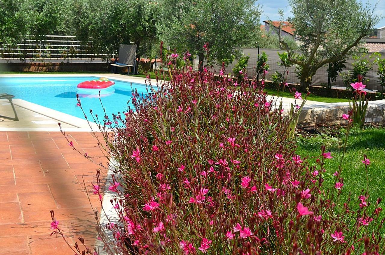 Holiday Home Sverko Novigrad Istria Exterior foto